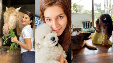 Heartfelt love: Kriti Sanon, Kiara Advani & Jacqueline Fernandez are true animal lovers, these photos are proof