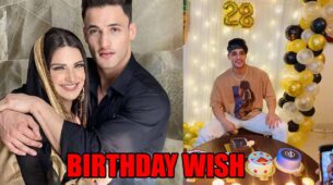Himanshi Khurana’s adorable birthday wish for beau Asim Riaz will make you go aww