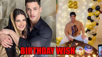 Himanshi Khurana’s adorable birthday wish for beau Asim Riaz will make you go aww