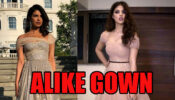 Hot Babes: Rhea Chakraborty Vs Priyanka Chopra: Which Babe Slew In Alike Looking Gowns? FAN BATTLE