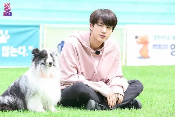 Hotties With Their Pets: Jin, RM & V’s Pictures With Their Pets Are Too Cute To Ignore - 1