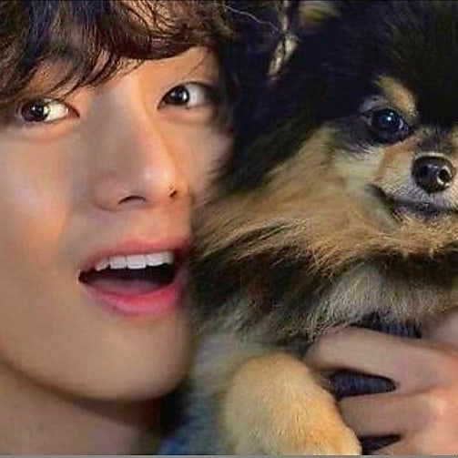 Hotties With Their Pets: Jin, RM & V’s Pictures With Their Pets Are Too Cute To Ignore - 2