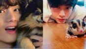 Hotties With Their Pets: Jin, RM & V’s Pictures With Their Pets Are Too Cute To Ignore