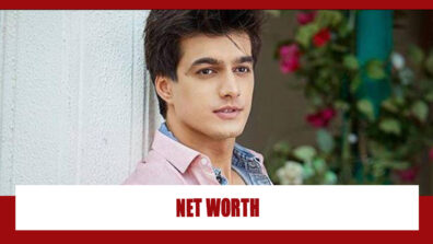 How Rich Is Mohsin Khan?