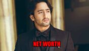 How rich is Shaheer Sheikh?