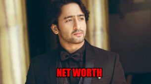 How rich is Shaheer Sheikh?