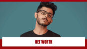 How rich is Youtube star CarryMinati? Find out shocking details