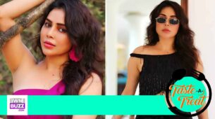 I would love to cook for Vidyut Jammwal: Nikita Rawal