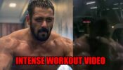 Intense Workout Video: Salman Khan trains for Tiger 3, fans love it