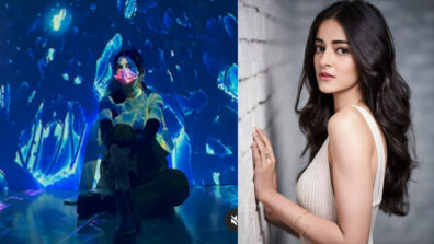 Jab Taaron Mein Teri Saansein: Ananya Panday shares new reel with a romantic vibe, fans go bananas