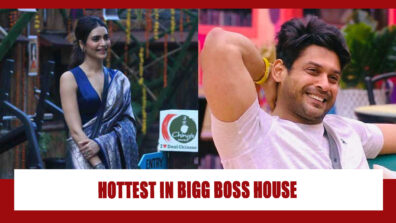 Karishma Tanna To Sidharth Shukla: 5 Hottest Contestants Of Bigg Boss Of All Time