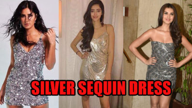 Katrina Kaif Vs Ananya Panday Vs Tara Sutaria: Who Sizzled The Silver Sequin Dress?