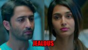 Kuch Rang Pyar Ke Aise Bhi- Nayi Kahani spoiler alert: Sonakshi makes Dev feel jealous