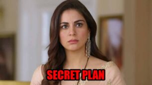 Kundali Bhagya spoiler alert: Preeta reveals her secret plan
