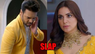 Kundali Bhagya spoiler alert: Preeta SLAPS Prithvi