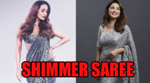 Malaika Arora Vs Madhuri Dixit: Who Slew In Shimmer Saree?