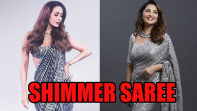 Malaika Arora Vs Madhuri Dixit: Who Slew In Shimmer Saree?