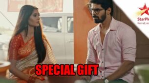 Mehndi Hai Rachne Waali spoiler alert: Mandar gives a special gift to Pallavi