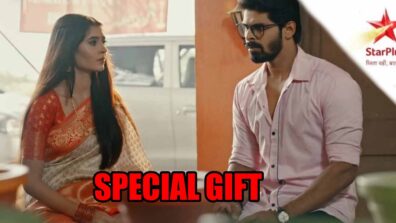 Mehndi Hai Rachne Waali spoiler alert: Mandar gives a special gift to Pallavi