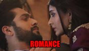 Mehndi Hai Rachne Waali spoiler alert: Raghav and Pallavi’s ROMANTIC eye lock moment