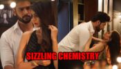Mehndi Hai Rachne Waali spoiler alert: Raghav and Pallavi’s SIZZLING chemistry to wow fans