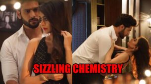 Mehndi Hai Rachne Waali spoiler alert: Raghav and Pallavi’s SIZZLING chemistry to wow fans
