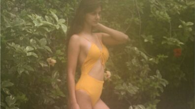 Mere Jio phone ki clarity isse badiya hai: When a fan trolled Disha Patani for her poor quality hot bikini picture