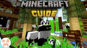 Minecraft Panda: Everything A Minecraft Lover Needs To Know About The Pandas