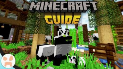 Minecraft Panda: Everything A Minecraft Lover Needs To Know About The Pandas