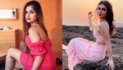 Mouni Roy Vs Jannat Zubair: Whose Pink Tissue Dress Do You Like Better?