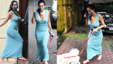 Mumbai Monsoon Fun: Malaika Arora takes a walk wearing a sensuous tight-fitting low-neck blue bodycon outfit, fans feel the heat