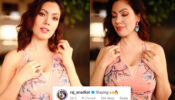 Munmun Dutta’s burning hot sensuous avatar makes Raj Anadkat feel the heat