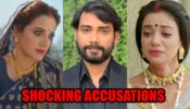 Namak Issk Ka spoiler alert: Iravati and Ravi put shocking accusations on Kahani