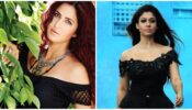 Nayanthara Vs Katrina Kaif: Which Actress Wore The Black Off- Shoulder Dress Better?