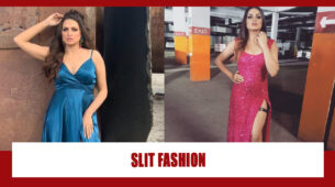Outfit Styles: Himanshi Khurana’s Stunning Looks In Her ‘Thigh-High’ Slit Outfitters, See Pics