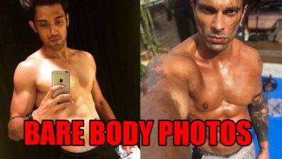 Parth Samthaan Vs Karan Singh Grover: Who Raised The Mercury Levels In Bare Body Photos?