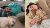 Paw-fect Moments of Selena Gomez That Describe her ‘Happy Place’ With Her ‘Fur Ball’, see pics