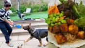 Priyanka Chopra chills with her dog squad, enjoys ‘yummilicious’ food