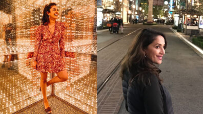 Priyanka Chopra, Madhuri Dixit & their fancy wanderlust diaries