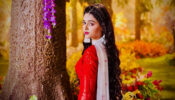 RadhaKrishn fame Mallika Singh shares cryptic post, fans worried