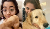 Rashmika Mandanna & Dhvani Bhanushali’s ‘pawsome’ connection that melted our hearts