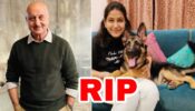 RIP: Anupam Kher’s ‘Kashmir Files’ movie line producer Sarahna hangs herself to death, actor shares emotional note