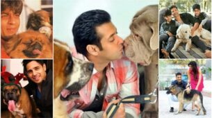 Salman Khan To Shah Rukh Khan: Did You Know These Stars Own A Pet?