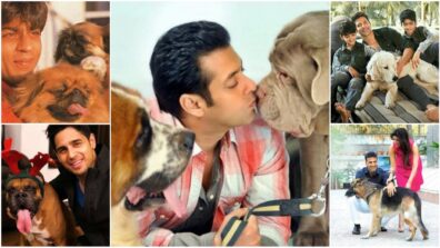 Salman Khan To Shah Rukh Khan: Did You Know These Stars Own A Pet?