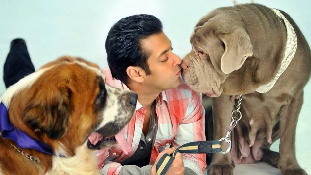 Salman Khan To Shah Rukh Khan: Did You Know These Stars Own A Pet? - 0