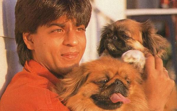 Salman Khan To Shah Rukh Khan: Did You Know These Stars Own A Pet? - 4