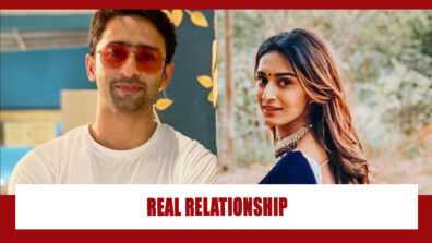 Shaheer Sheikh And Her Real Relationship With Erica Fernandes Revealed