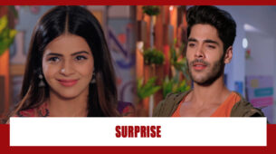 Shakti Astitva Ke Ehsaas Ki Spoiler Alert: Virat plans a surprise for Heer