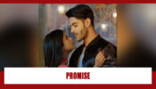 Shakti Astitva Ke Ehsaas Ki Spoiler Alert: Virat takes a promise from Heer
