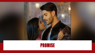 Shakti Astitva Ke Ehsaas Ki Spoiler Alert: Virat takes a promise from Heer